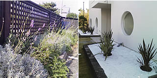 �g���C�`�n�E�X�O��̂���